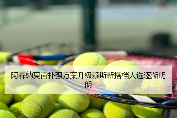阿森纳夏窗补强方案升级赖斯新搭档人选逐渐明朗